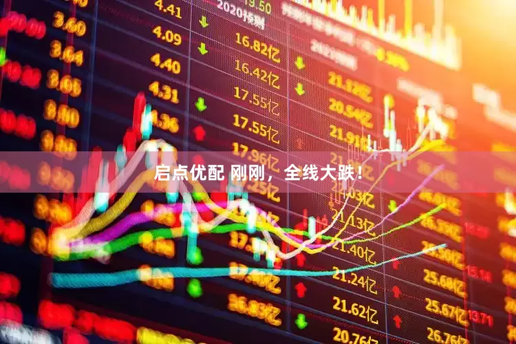 启点优配 刚刚，全线大跌！