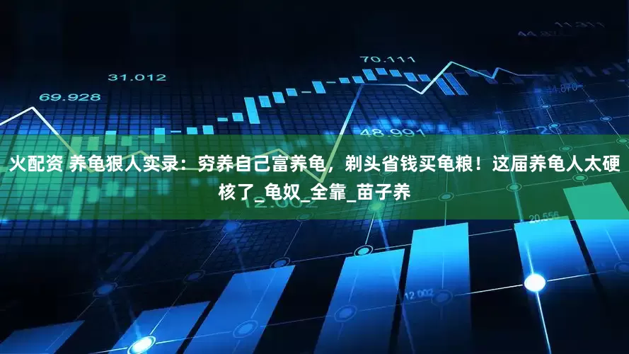 火配资 养龟狠人实录：穷养自己富养龟，剃头省钱买龟粮！这届养龟人太硬核了_龟奴_全靠_苗子养