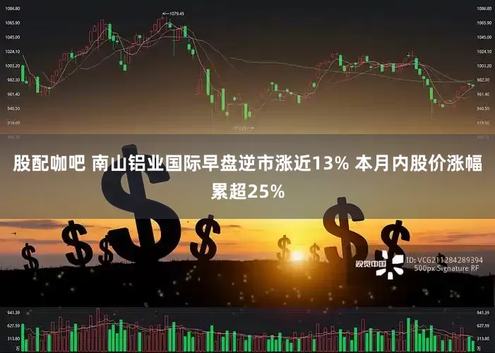 股配咖吧 南山铝业国际早盘逆市涨近13% 本月内股价涨幅累超25%